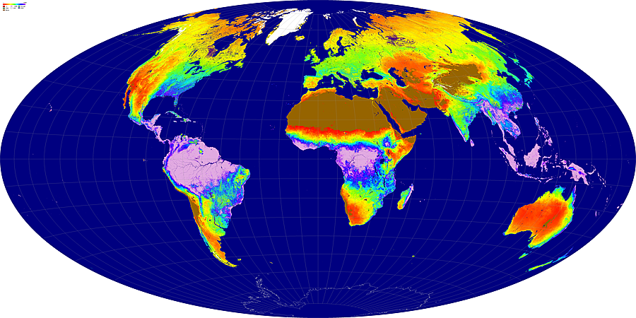 LAI viirs/modis comparison